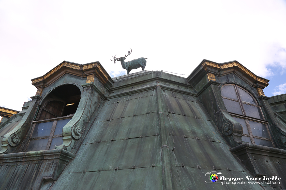 VBS_5983 - Sotto il Cervo - Palazzina di Caccia di Stupinigi.jpg